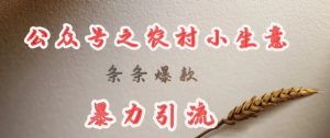 deepseek写农村小项目，条条爆款，暴力引流-网创星球