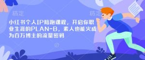 小红书个人IP陪跑课程，开启你职业生涯的PLAN-B，素人也能火成为百万博主的流量密码-网创星球