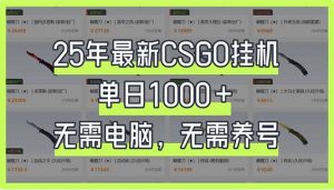 25年最新CSGO挂机系统，单日1000+，无需电脑，无需养号，0基础可上手-网创星球