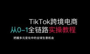 TikTok跨境电商从0-1全链路全方位实操教程，把握多元变化中的全球生意机会-网创星球