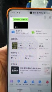 抖音暴力涨粉技术：一天轻松1-10万粉，技术不确定真实性，自测-网创星球