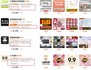 0成本虚拟项目实战手把手教你落地，单店月入5k-网创星球