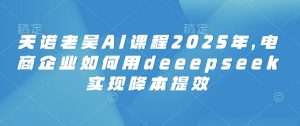 天诺老吴AI课程2025年,电商企业如何用deeepseek实现降本提效-网创星球