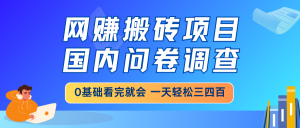 网赚搬砖项目，国内问卷调查，0基础看完就会 一天轻松三四百，靠谱副业...-网创星球