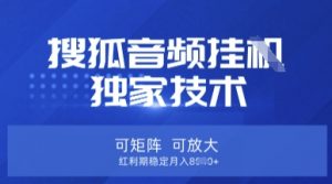 【搜狐音频挂G】独家技术，可矩阵可放大，红利期稳定月入8k【揭秘】-网创星球