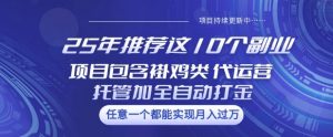 25年推荐这10个副业项目包含褂鸡类、代运营托管类、全自动打金类【揭秘】-网创星球