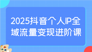 2025抖音个人IP全域流量变现进阶课:选爆品、抖音付费投流、千川投流实操及优化等-网创星球