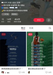 小红书治愈文案图文笔记，零门槛，一分钟制作轻松制作爆款作品月入万元-网创星球