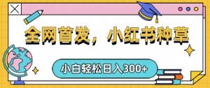 小红书种草，手机项目，日入3张，复制黏贴即可，可矩阵操作，动手不动脑【揭秘】-网创星球
