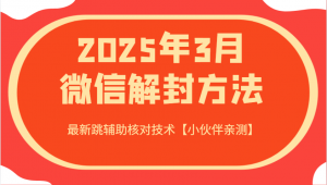 2025年3月微信解封方法 最新跳辅助核对技术【小伙伴亲测】-网创星球