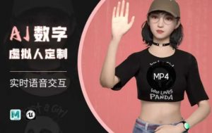 Ai数字人虚拟(智能体)实时语音交互特训营,自行定制超写实角色AI数字人交互技术-网创星球