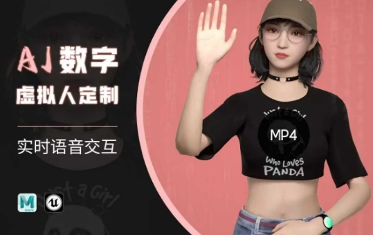 Ai数字人虚拟(智能体)实时语音交互特训营,自行定制超写实角色AI数字人交互技术-网创星球