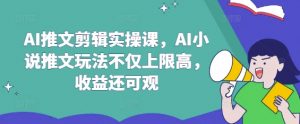 AI推文剪辑实操课，AI小说推文玩法不仅上限高，收益还可观-网创星球