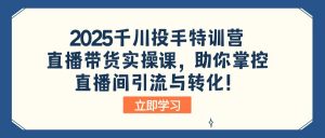 2025千川投手特训营：直播带货实操课，助你掌控直播间引流与转化！-网创星球