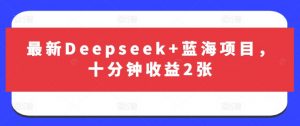 最新Deepseek+蓝海项目，十分钟收益2张-网创星球
