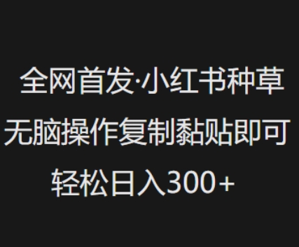 全网首发，小红书种草无脑操作，复制黏贴即可，轻松日入3张-网创星球