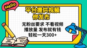 平台提供视频 你发布 无粉丝要求 不看视频播放量 发布就有钱 轻松一天300+-网创星球