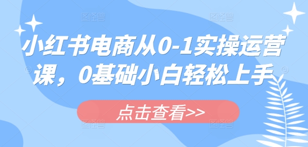 小红书电商从0-1实操运营课，0基础小白轻松上手-网创星球