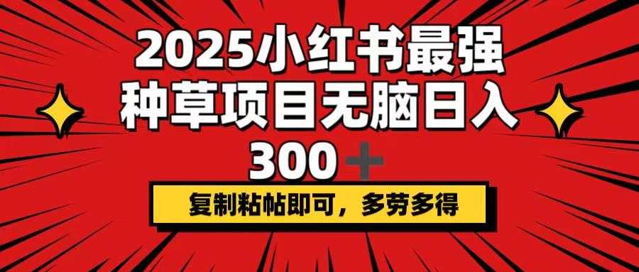 2025小红书最强种草项目，无脑日入300+，复制粘帖即可，多劳多得-网创星球