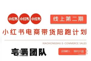 小红书电商带货课2期，月利润20个的小红书电商的有货源，无货源，虚拟产品，付费投流等整套玩法-网创星球