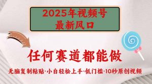 2025年视频号新风口，低门槛只需要无脑执行-网创星球