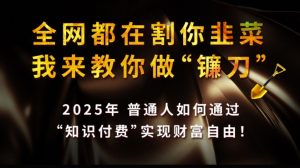 全网都在割你韭菜，我来教你做镰刀,2025普通人如何通过知识付费，实现财F自由【揭秘】-网创星球