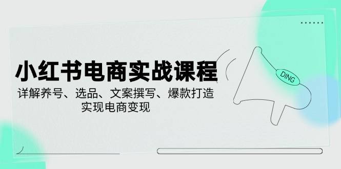 小红书电商实战课程，详解养号、选品、文案撰写、爆款打造，实现电商变现-网创星球