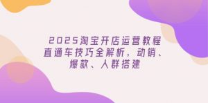 2025淘宝开店运营教程更新，直通车技巧全解析，动销、爆款、人群搭建-网创星球