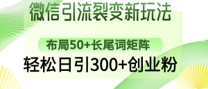 微信引流裂变新玩法：布局50+长尾词矩阵，轻松日引300+创业粉-网创星球