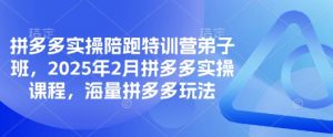 拼多多实操陪跑特训营弟子班,2025年2月拼多多实操课程,海量拼多多玩法-网创星球