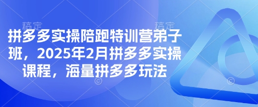 拼多多实操陪跑特训营弟子班，2025年2月拼多多实操课程，海量拼多多玩法-网创星球