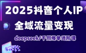 2025抖音个人IP全域流量变现进阶课,deepseek千川爆单进阶课-网创星球