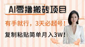 AI零撸搬砖项目玩法，有手就行，3天必起号，复制粘贴简单月入3W！-网创星球