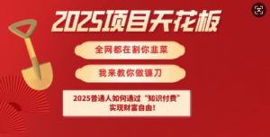 2025项目天花板普通人如何通过知识付费，实现财F自由【揭秘】-网创星球
