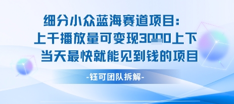 小众蓝海赛道项目：当天变现1k+适合新手操作 +适合长期玩-网创星球