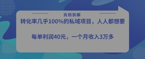 转化率最高的私域项目，每单利润40-50米，月入过1w-网创星球