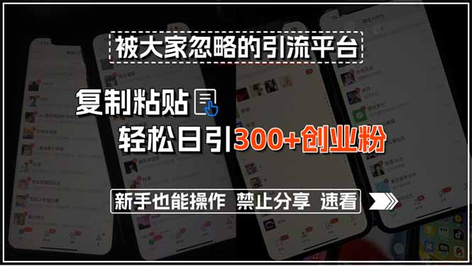 被大家忽略的引流平台，复制粘贴轻松日引300+创业粉，新手也能操作，禁…-网创星球