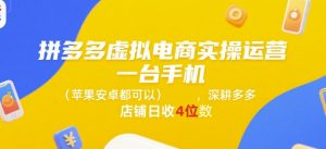 拼多多虚拟电商实操运营,一台手机(苹果安卓都可以),深耕多多店铺日收4位数-网创星球