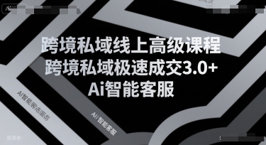 跨境私域线上高级课程，跨境私域极速成交3.0+Ai智能客服-网创星球