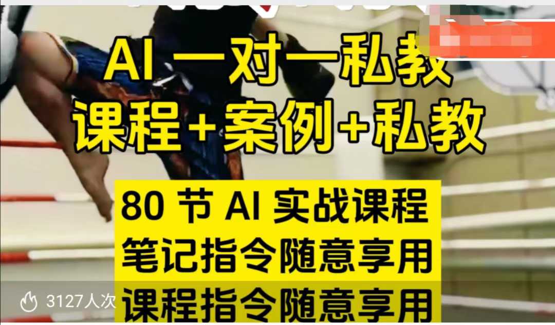 AI指令实战课，课程+案例，80节AI实战课程，笔记指令随意享用，课程指令随意享用(更新7月)-网创星球