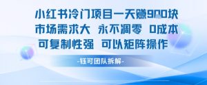 小红书冷门项目一天收益9张，市场需求大，0成本，可复制性强可以矩阵操作-网创星球