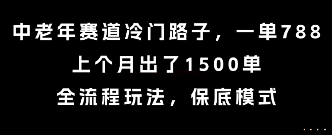 中老年赛道冷门路子，一单788，上个月出了1500单，全流程玩法，保底模式【揭秘】-网创星球