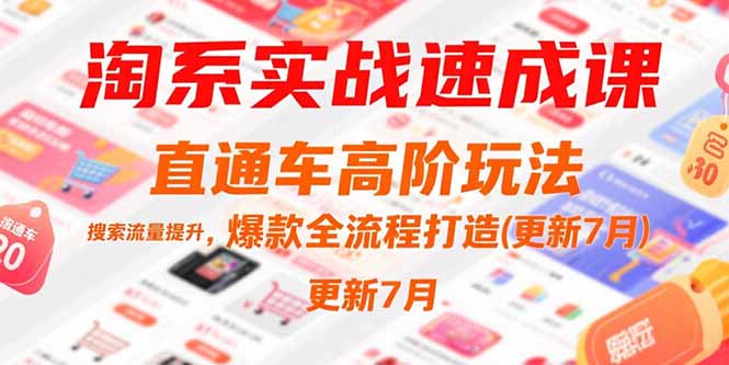 淘系实战速成课，直通车高阶玩法，搜索流量提升，爆款全流程打造(更新7月-网创星球