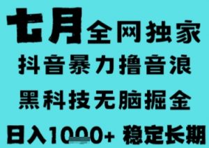 7月最新风口抖音无人直播撸音浪，长期稳定，非短期，全自动运行，低门槛无脑，日入1k+【揭秘】-网创星球