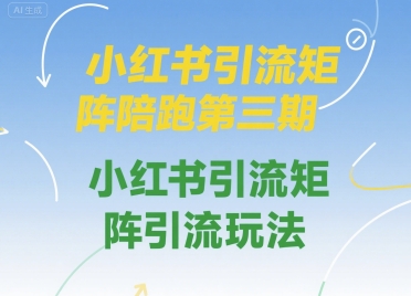 小红书引流矩阵陪跑第三期，小红书引流矩阵引流玩法-网创星球