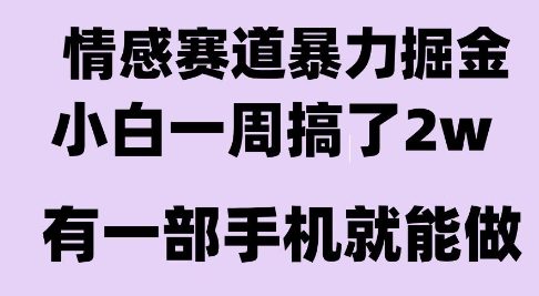 情感暴力掘金项目，新人操作一周挣了2W，长期稳定小白可做【揭秘】-网创星球