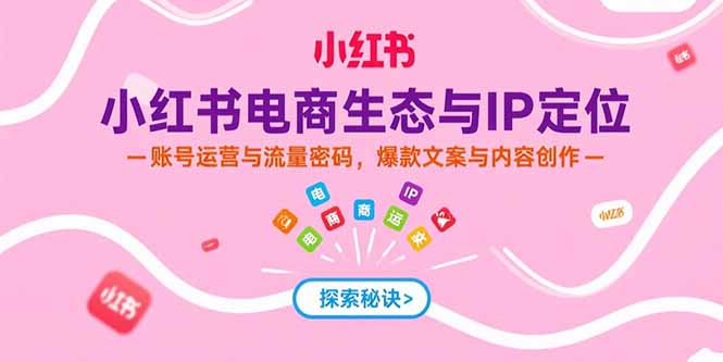 小红书电商生态与IP定位，账号运营与流量密码，爆款文案与内容创作-网创星球