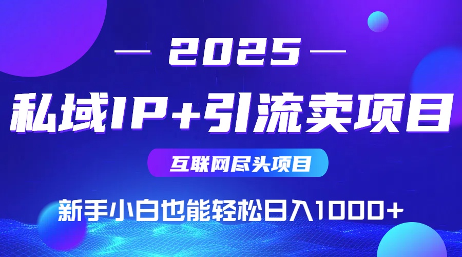 2025网创尽头项目，私域IP+引流，新手小白也能在家日入1000+-网创星球