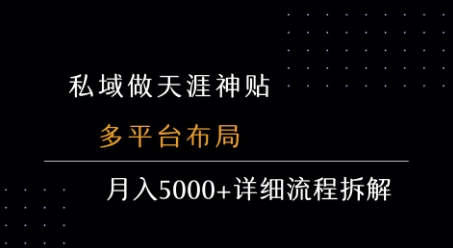 私域做天涯神贴 多平台布局 月入5k+详细流程拆解-网创星球
