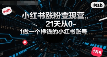 小红书涨粉变现营，21天从0-1做一个挣钱的小红书账号-网创星球